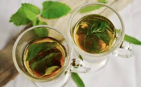 benefits of oregano tea